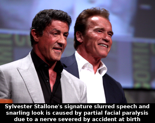 Sylvester_Stallone__Arnold_Schwarzenegger