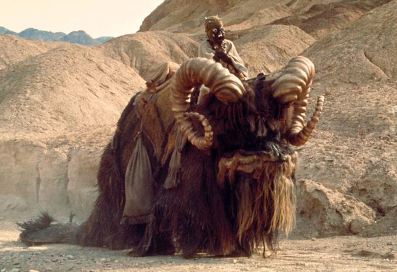 Star Wars Creatures We Are Absolutely Mad About TWBLOWMYMIND