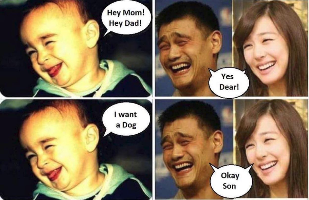 80 Hilarious Photos And Memes That Will Make You Laugh Out